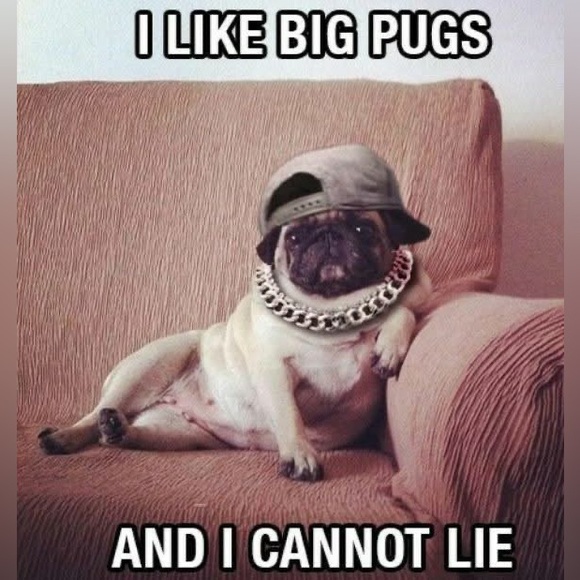 Tag list - Picture 9 of 13